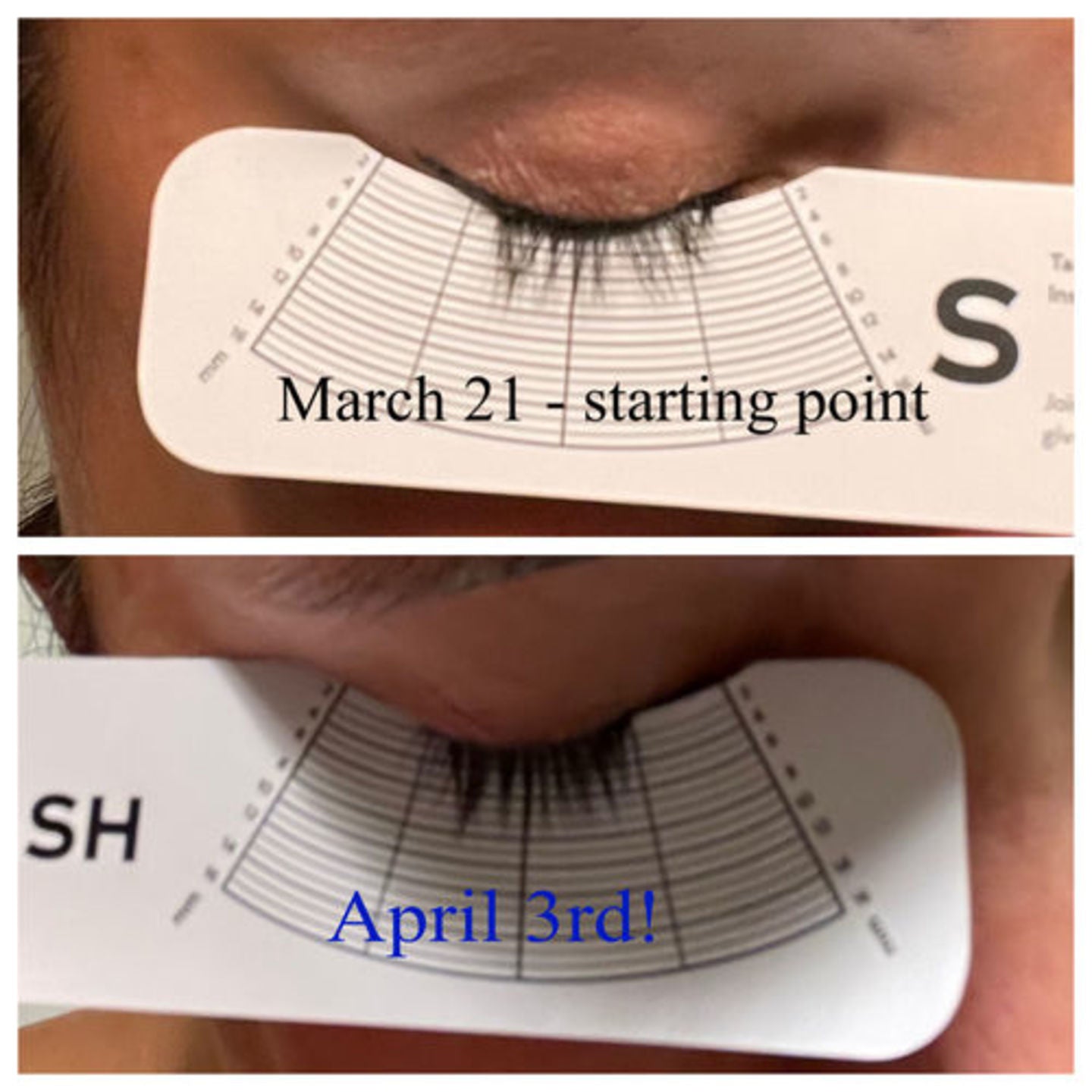 Scorolash Eyelash Volumizing Growth Serum