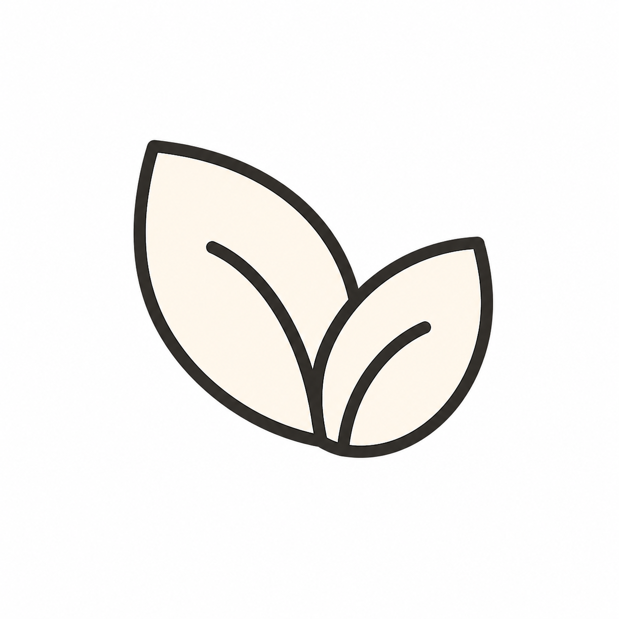 Clean Ingredients